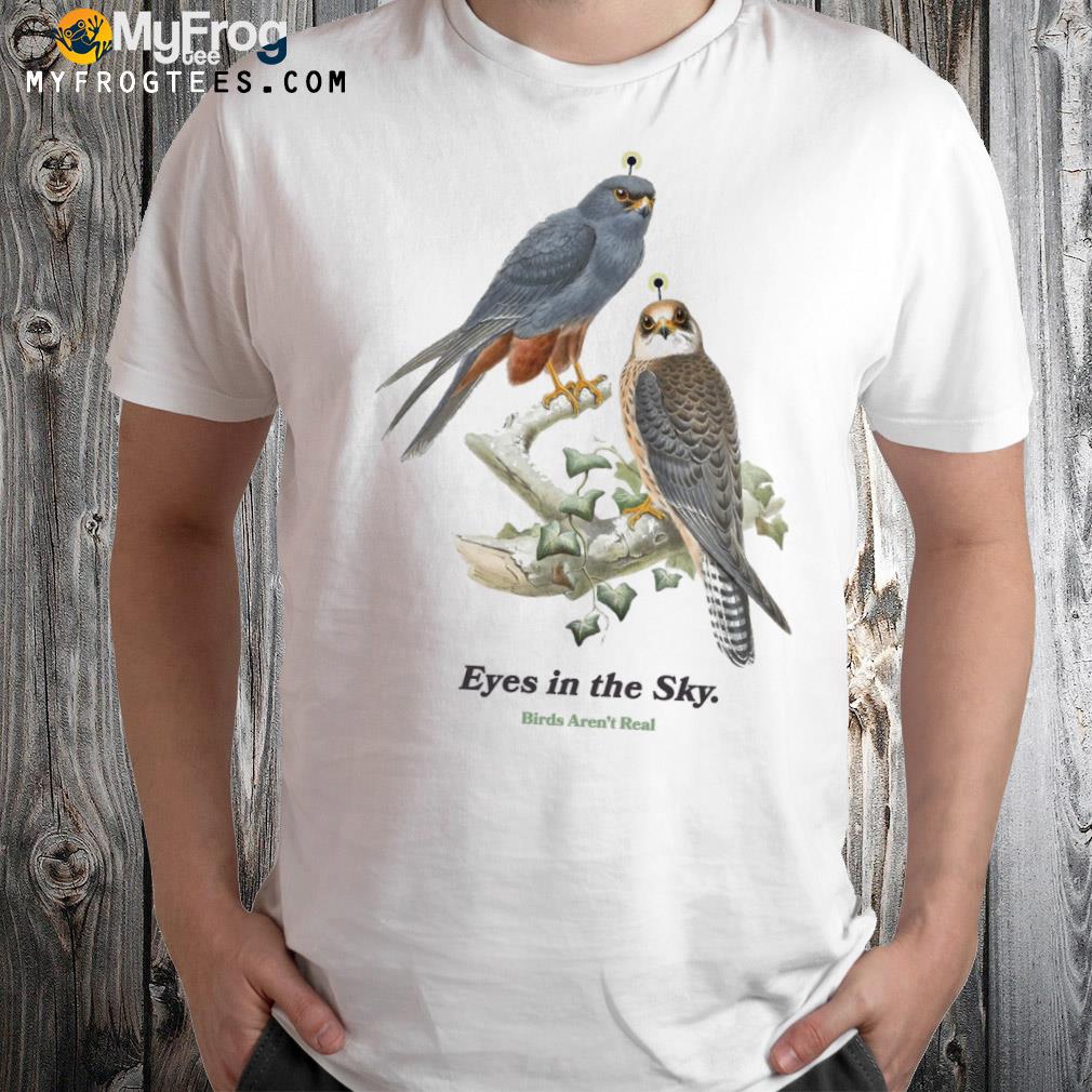 Eyes in the sky birds aren't real shirt