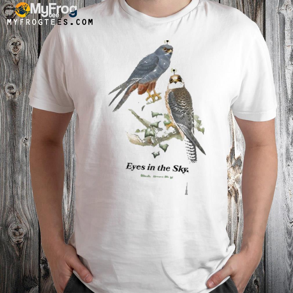 Eyes in the sky birds aren't real t-shirt
